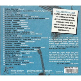 Whip Masters Instrumentals Volume 3  - Various