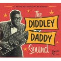 The Diddley Daddy Sound (28 Songs Influenced by Bo Diddley) -  Various