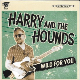 Harry & The Hounds