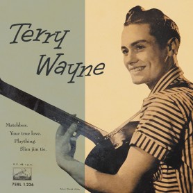 Terry Wayne
