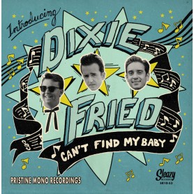 Dixie Fried - New band from...