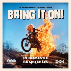 The Domestic Bumblebees