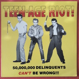 Teen-Age Riot! (50,000,000...