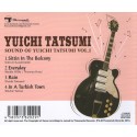 Yuichi Tatsumi