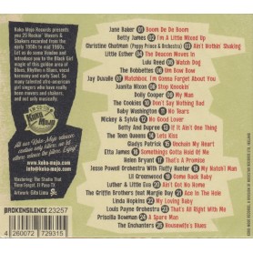 Rock And Roll Vixens Vol.1 - Various