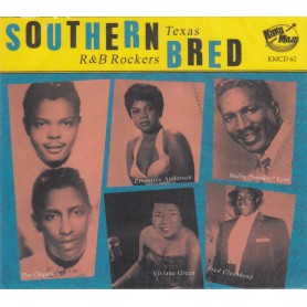 Southern Bred Vol.12 - Texas R&B Rockers - Various