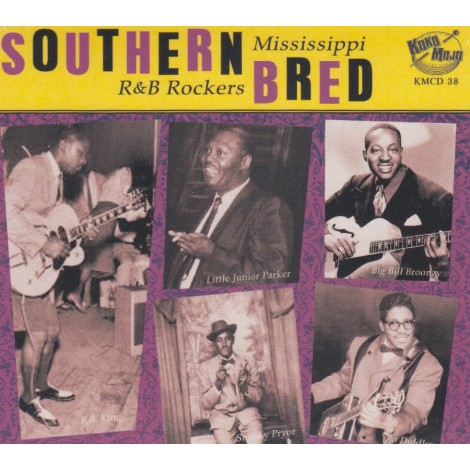 Southern Bred Vol.5 - Mississippi R&B Rockers - Various