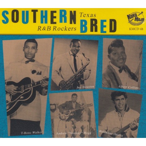 Southern Bred Vol.10 - Texas R&B Rockers - Various