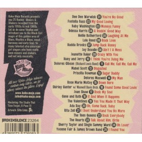 Rock And Roll Vixens Vol.5 - Various