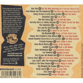 Rock And Roll Vixens Vol.6 - Various