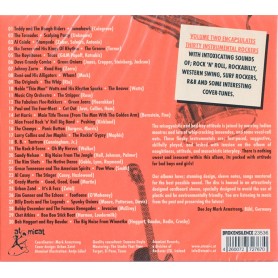 Whip Masters Instrumentals Volume 2 - Various