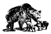 Bear Family Records